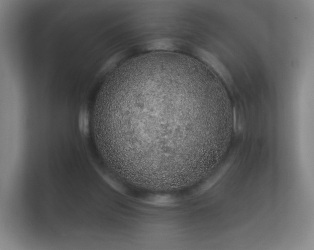 X0000112160157200908141241