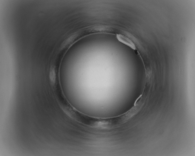X0000112160158200908141241