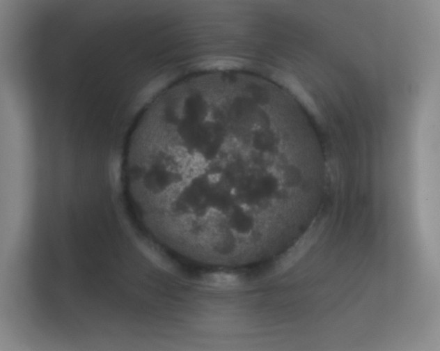 X0000112160159200908141241
