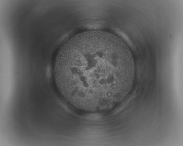 X0000112160161200908141241