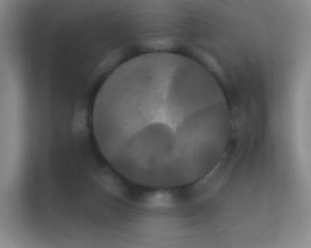 X0000112160162200908141241