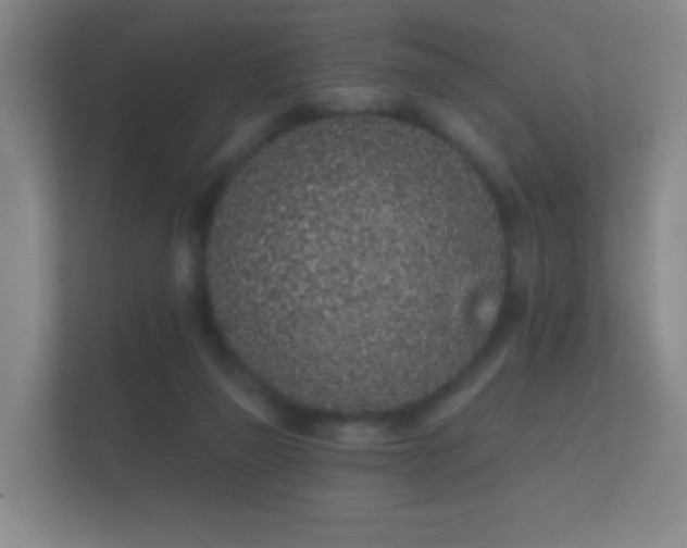 X0000112160165200908141241