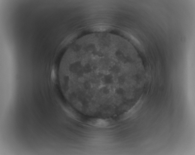 X0000112160166200908141241