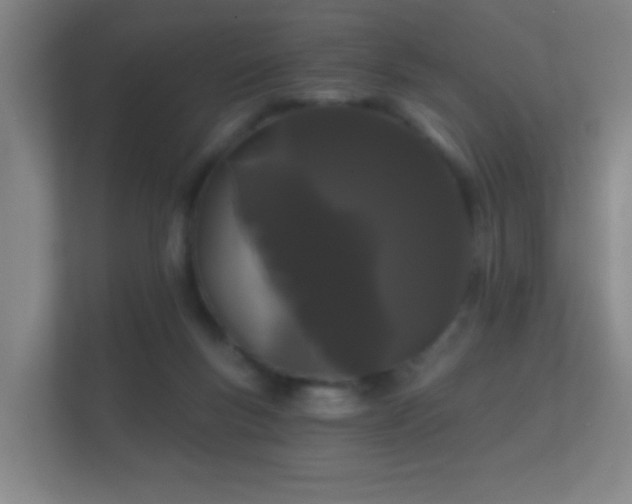 X0000112160167200908141241