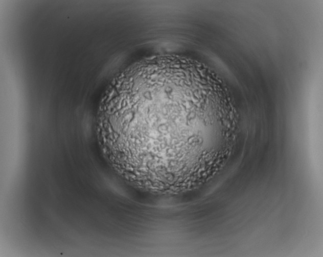 X0000112160169200908141241