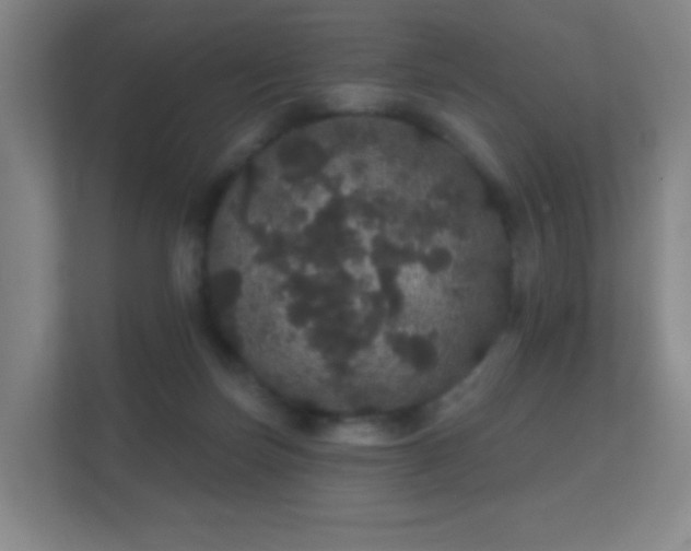 X0000112160171200908141241