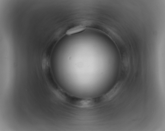 X0000112160172200908141241