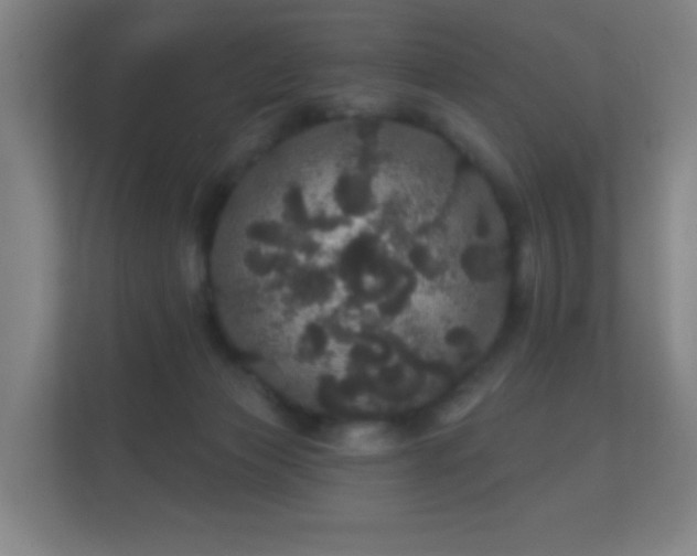 X0000112160173200908141241