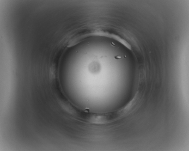 X0000112160174200908141241