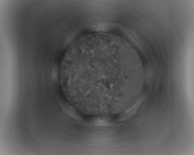 X0000112160175200908141242