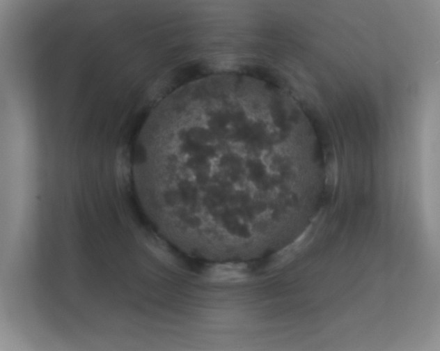 X0000112160179200908141242