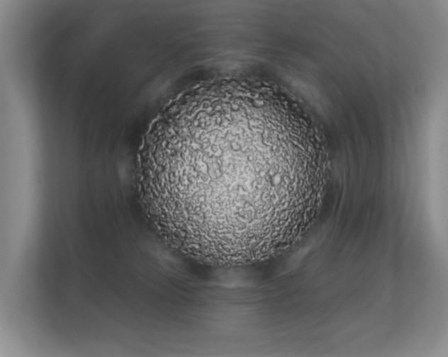 X0000112160181200908141242