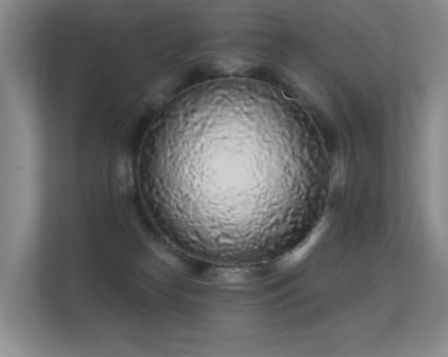 X0000112160182200908141242
