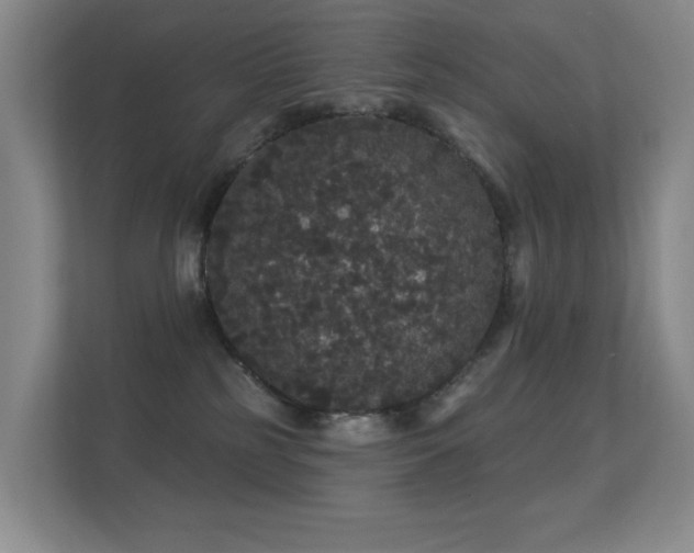 X0000112160185200908141242