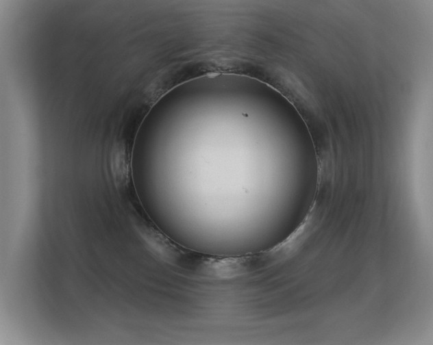 X0000112160186200908141242