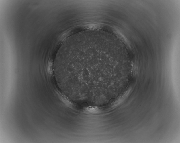 X0000112160189200908141242