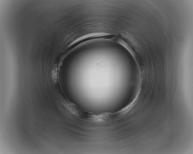 X0000112160190200908141242