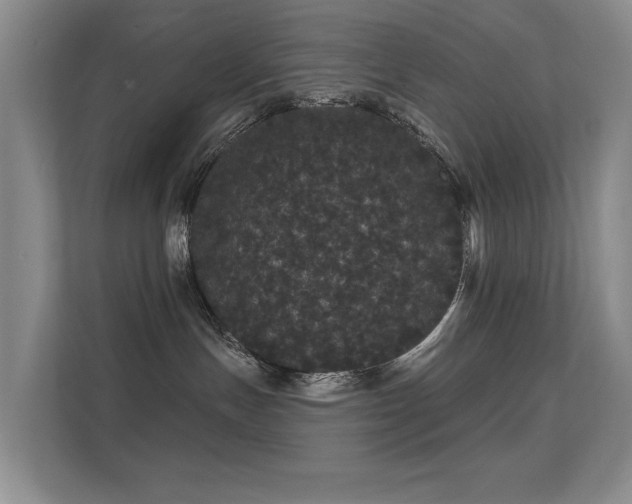 X0000112160191200908141242