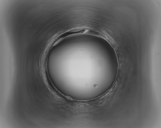 X0000112160193200908141241