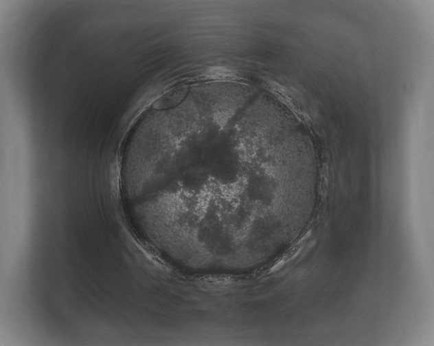 X0000112160194200908141241