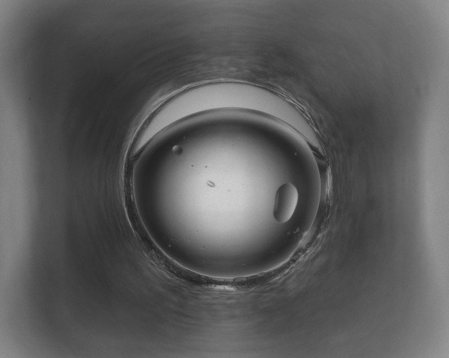X0000112160195200908141241