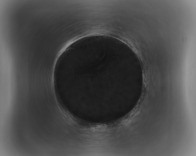 X0000112160196200908141241