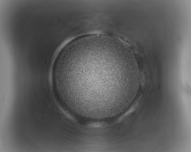 X0000112160200200908141241