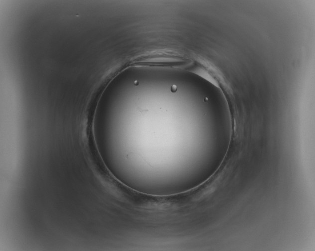 X0000112160201200908141241