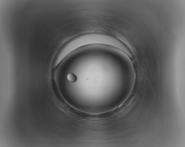X0000112160203200908141241