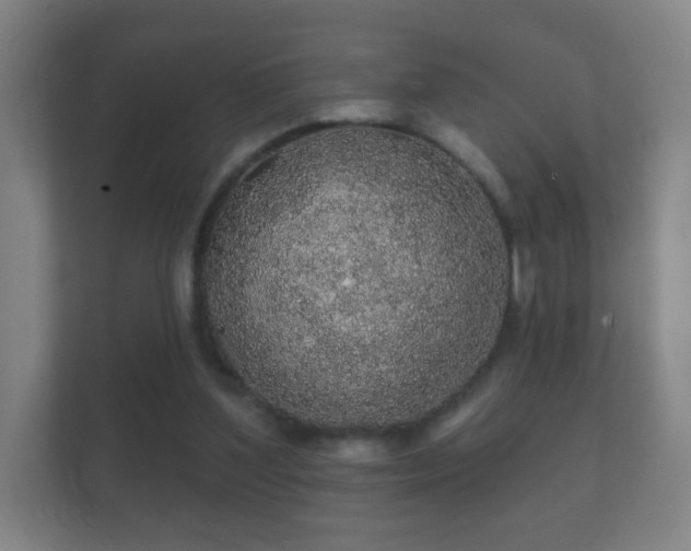 X0000112160204200908141241