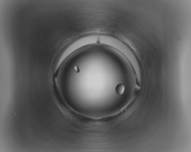 X0000112160205200908141241