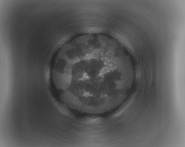 X0000112160206200908141241