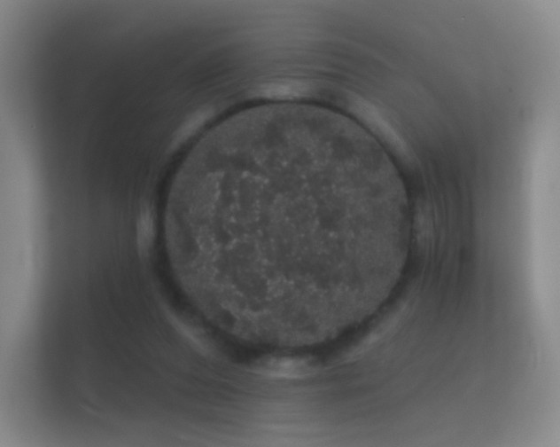 X0000112160208200908141241
