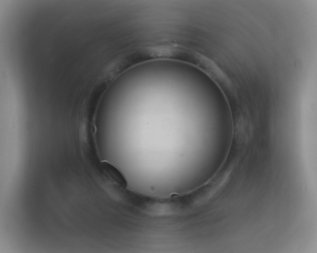 X0000112160209200908141241