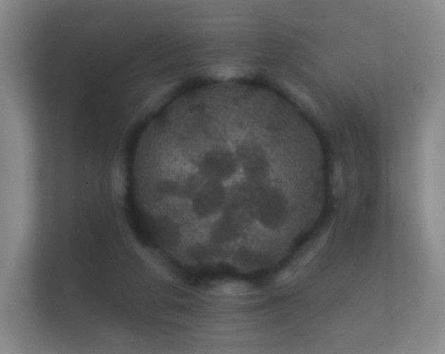 X0000112160210200908141241