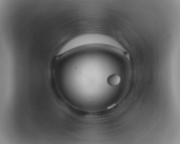 X0000112160211200908141241