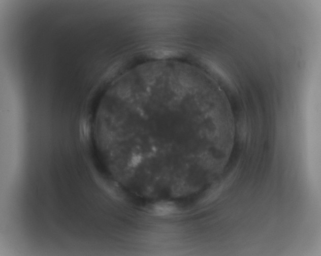 X0000112160214200908141241