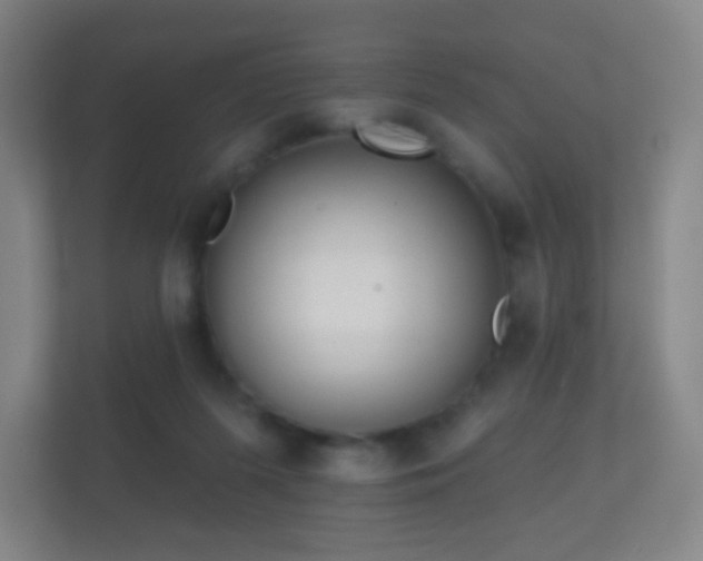 X0000112160215200908141241