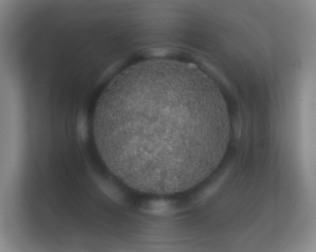 X0000112160216200908141241