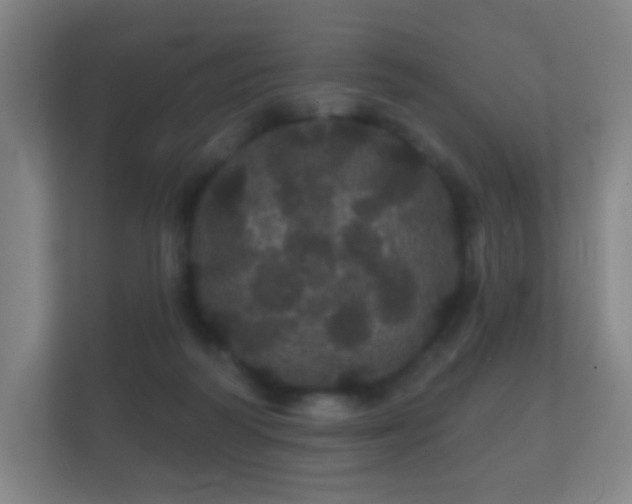 X0000112160218200908141241