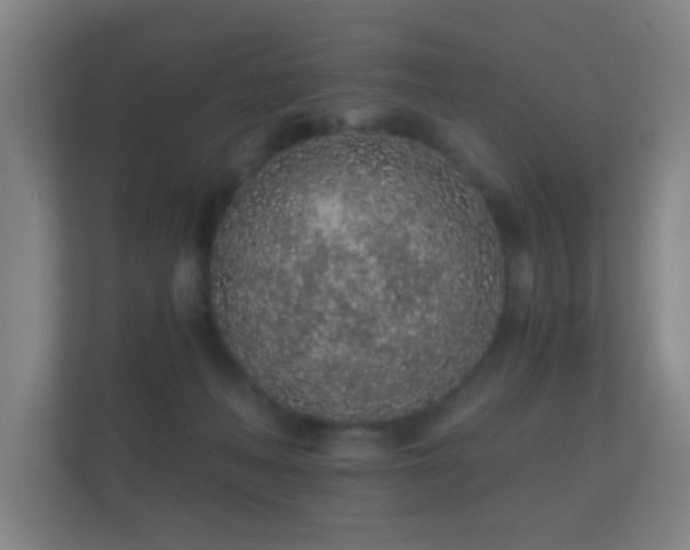 X0000112160222200908141241