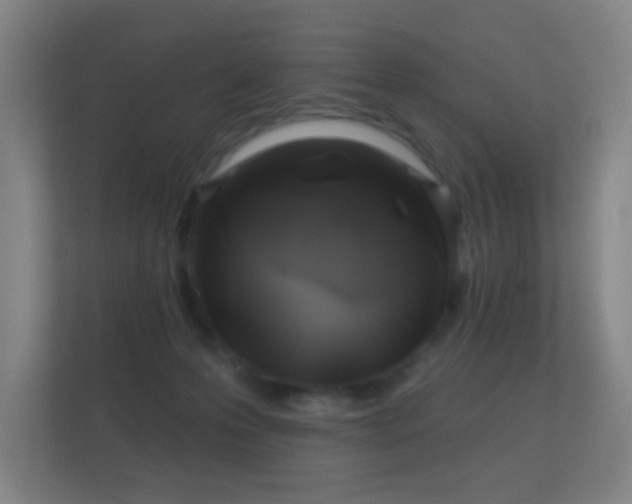 X0000112160223200908141241