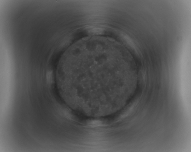 X0000112160224200908141241
