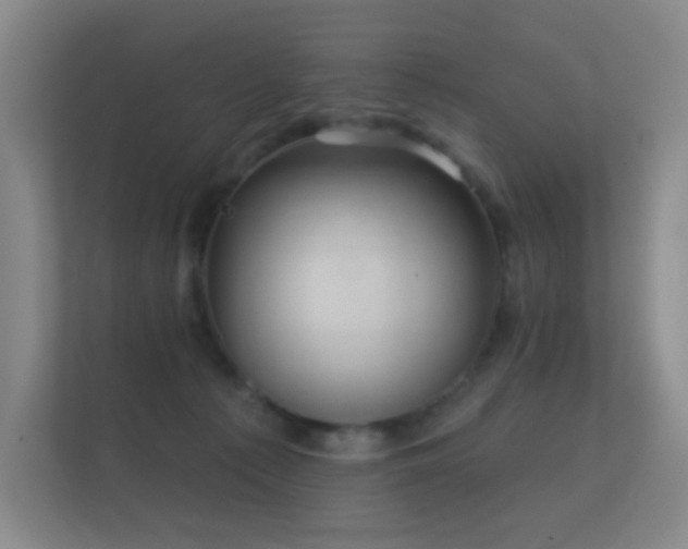 X0000112160225200908141241