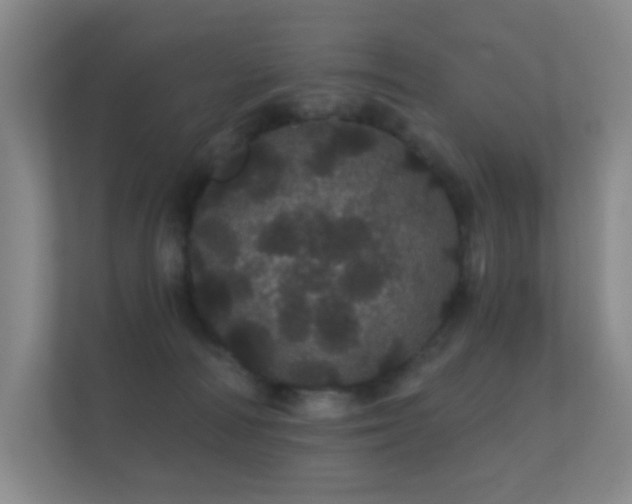 X0000112160226200908141241