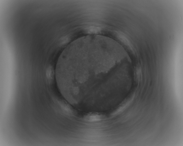 X0000112160228200908141241