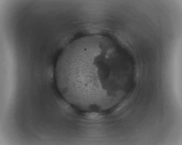 X0000112160230200908141241