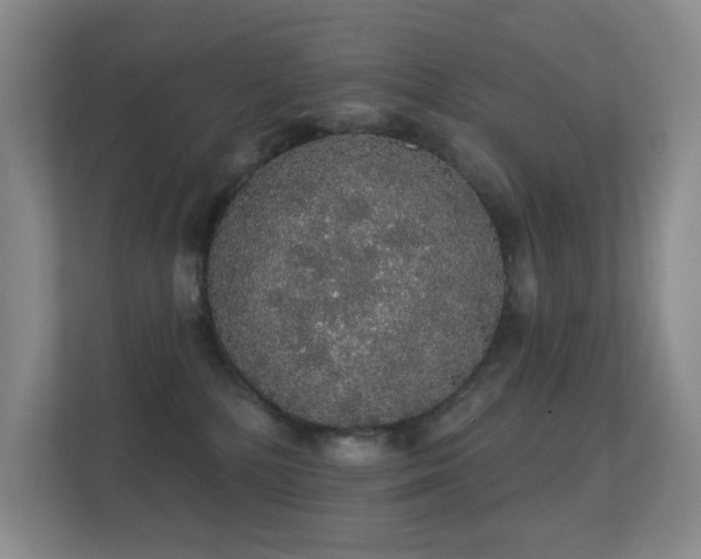 X0000112160232200908141241