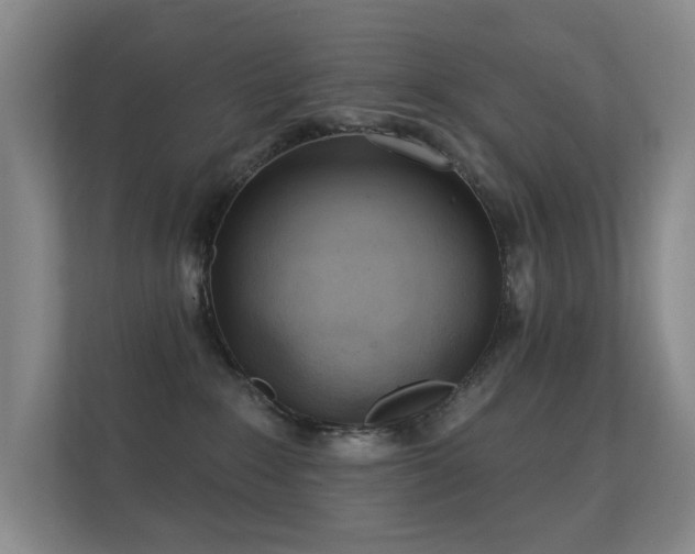 X0000112160235200908141241