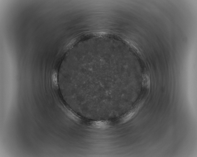 X0000112160238200908141241